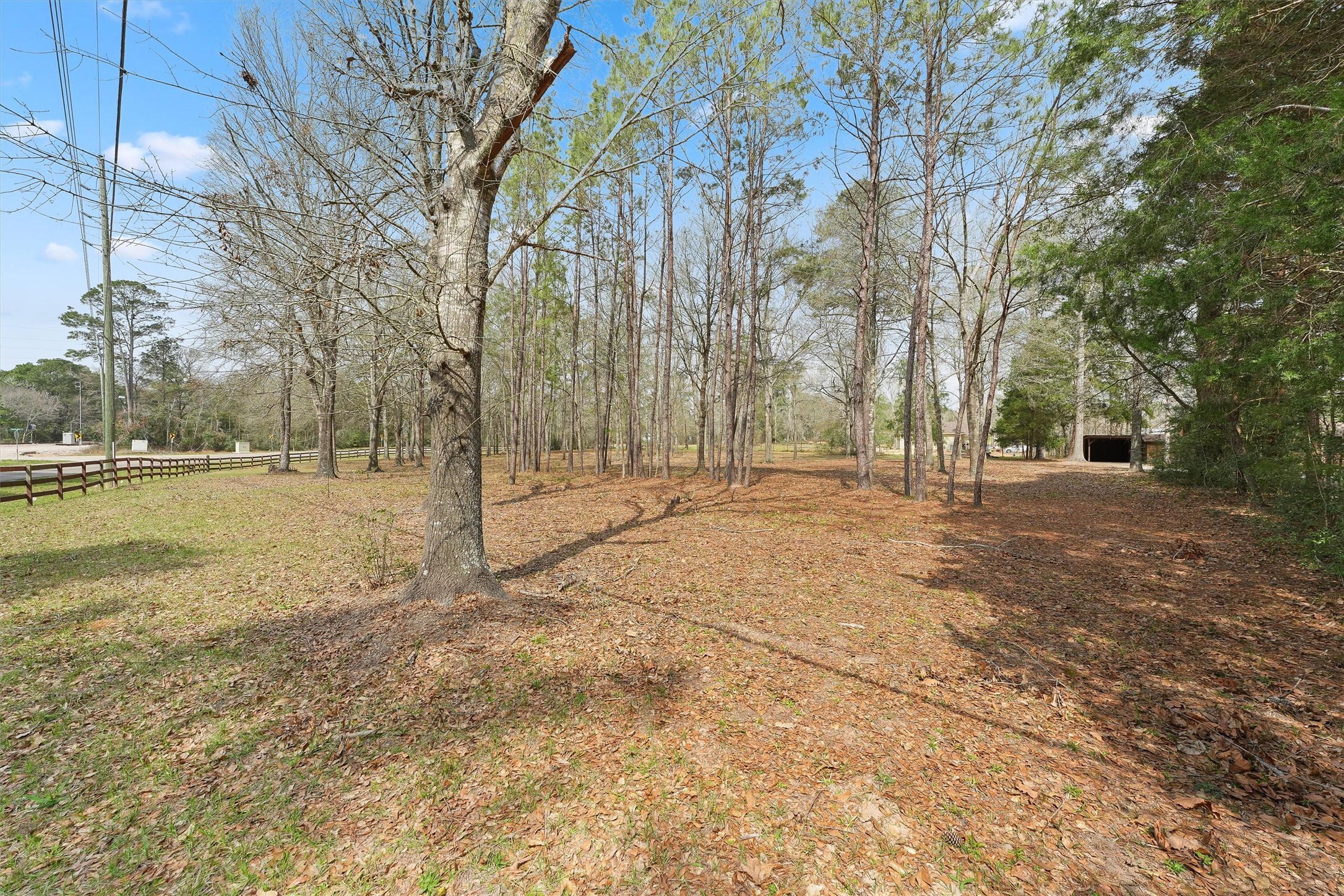 31926 Dobbin-Huffsmith Road Magnolia, TX 77354 - Photo 24 of 47 a view of dirt field with trees