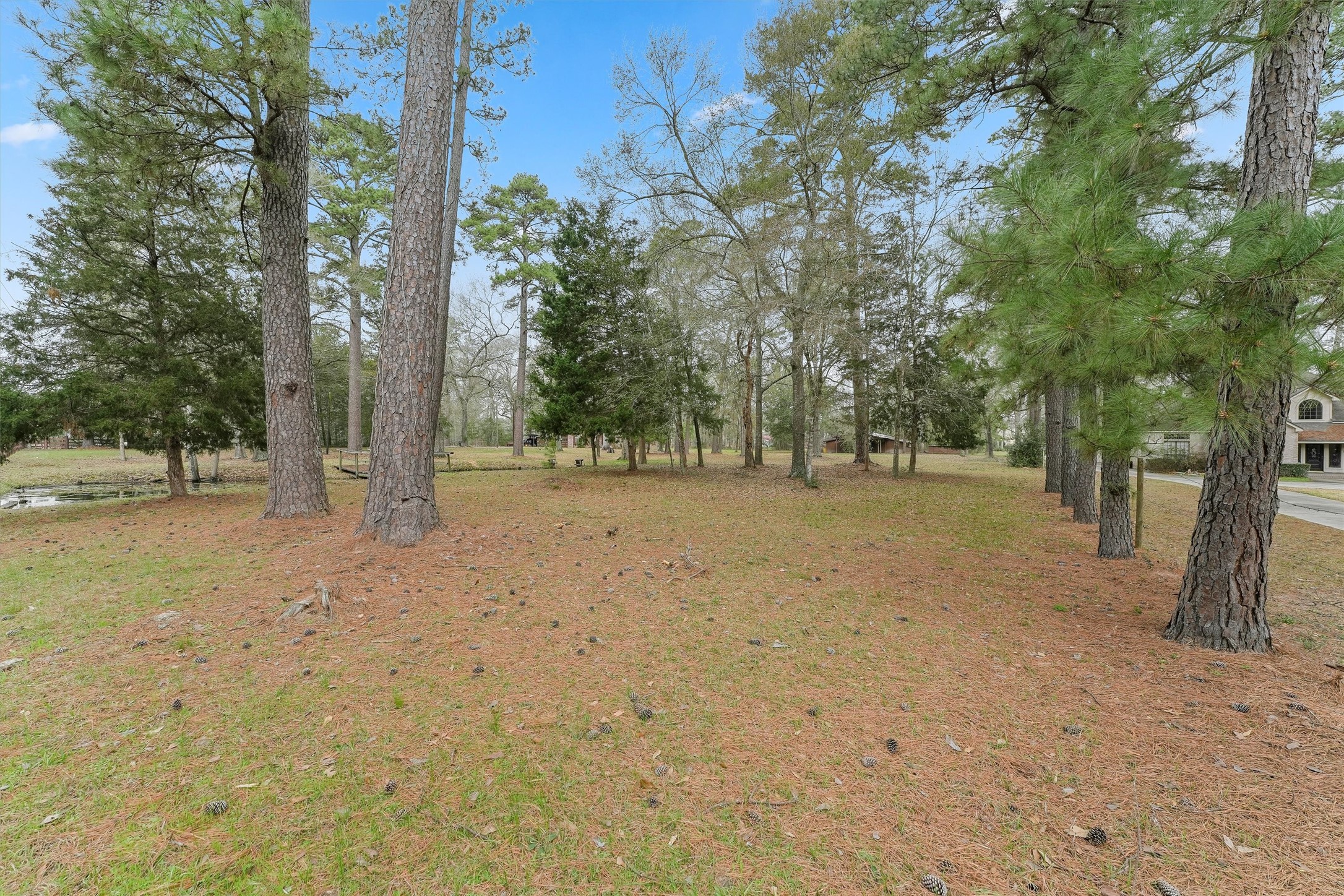 31926 Dobbin-Huffsmith Road Magnolia, TX 77354 - Photo 27 of 47 a view of outdoor space with trees