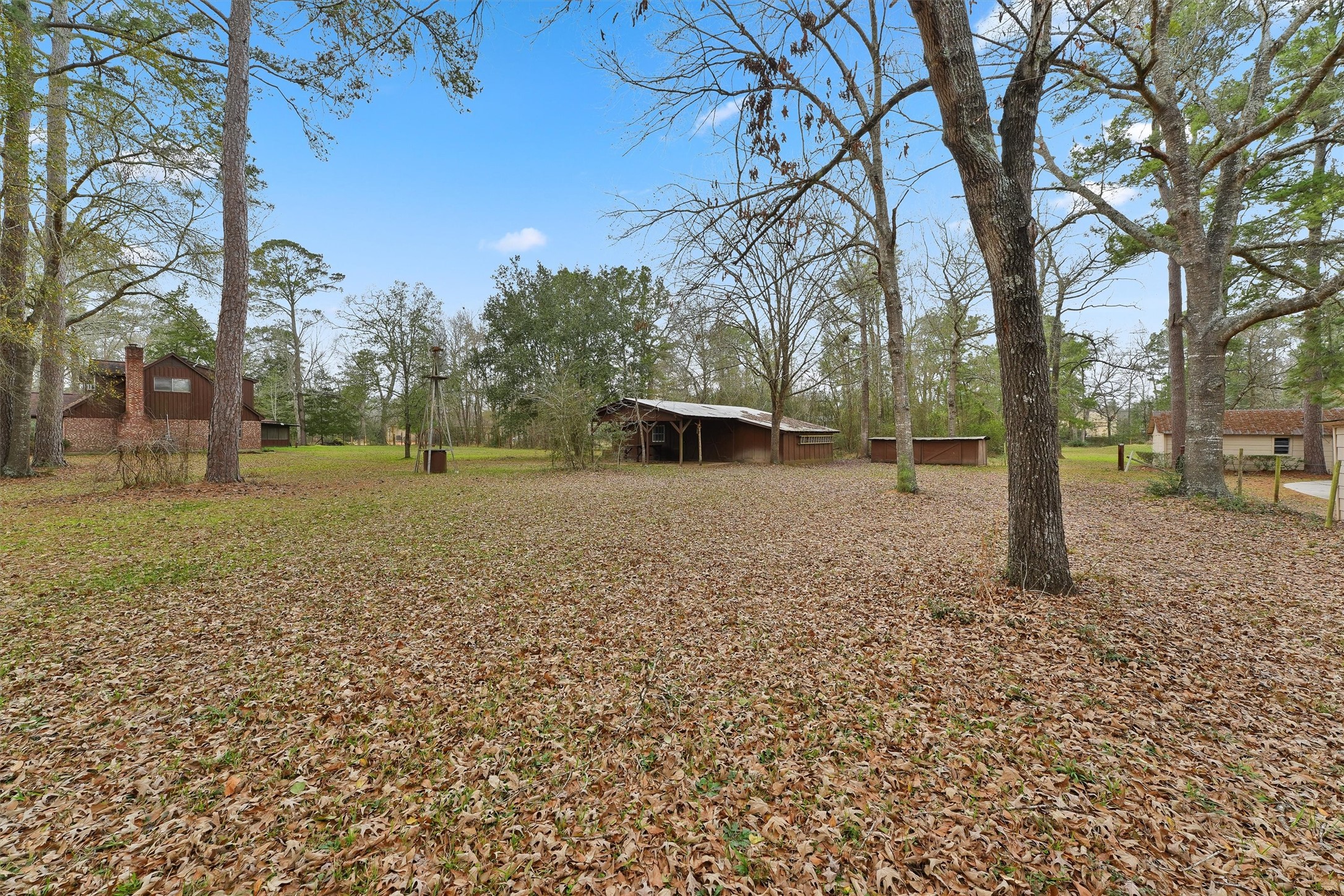 31926 Dobbin-Huffsmith Road Magnolia, TX 77354 - Photo 28 of 47 a view of a yard with a tree