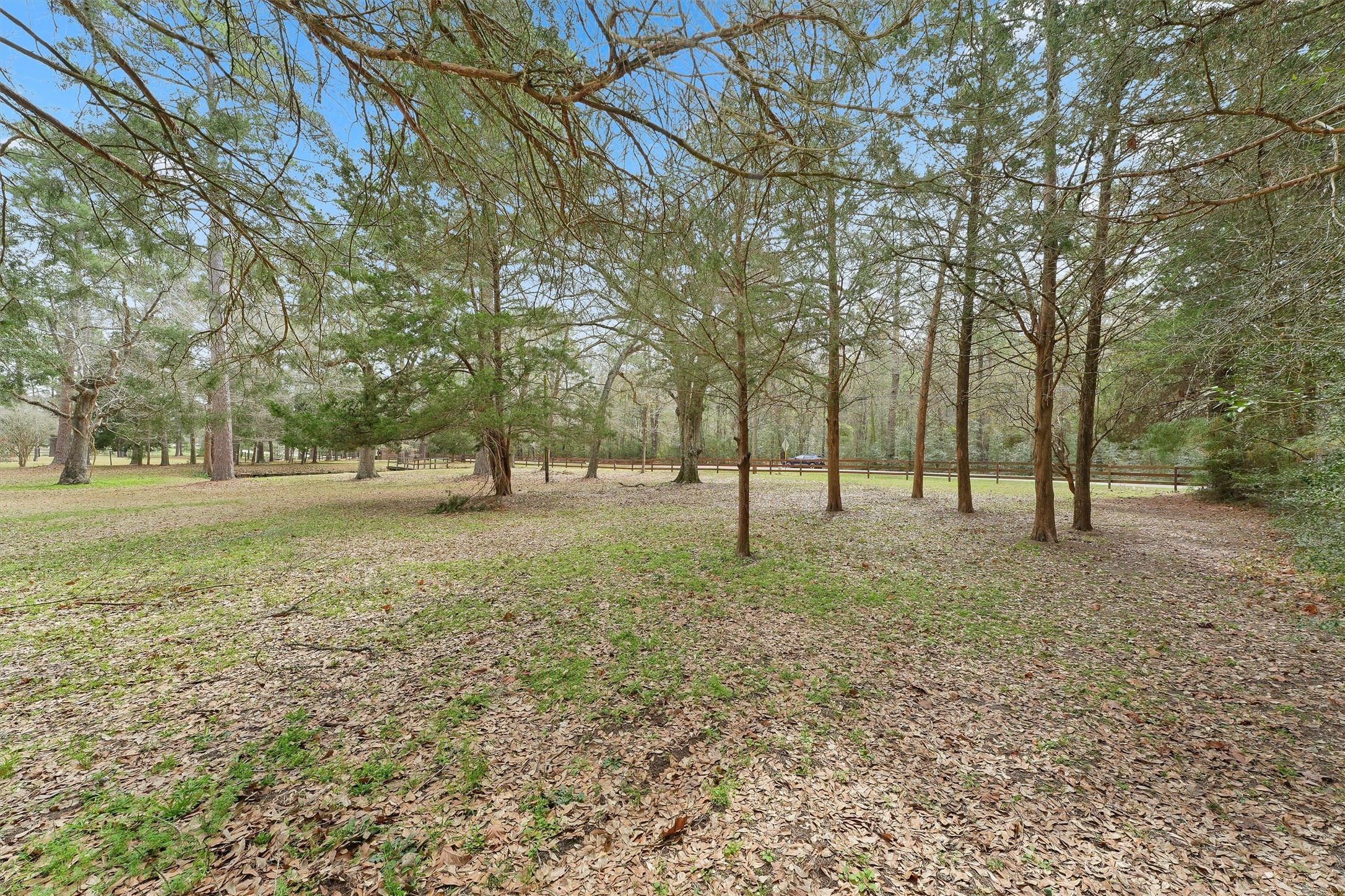 31926 Dobbin-Huffsmith Road Magnolia, TX 77354 - Photo 31 of 47 a view of outdoor space with trees