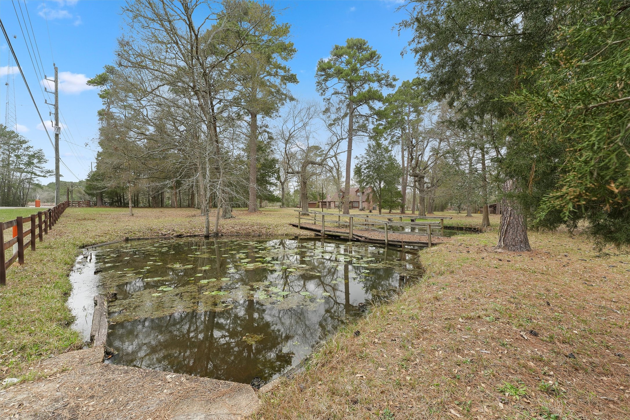 31926 Dobbin-Huffsmith Road Magnolia, TX 77354 - Photo 33 of 47 a view of a yard with trees