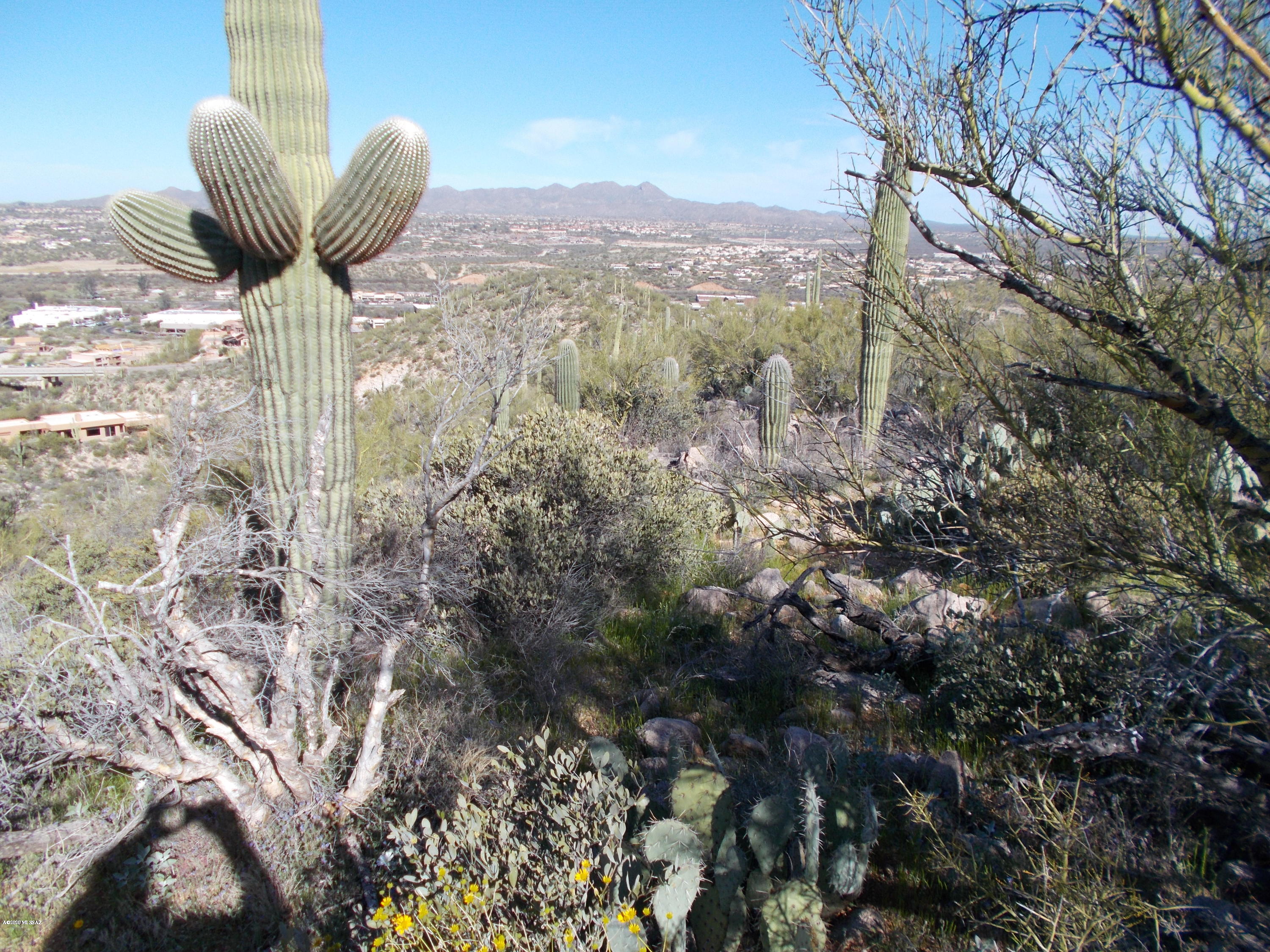 2280 Della Roccia Court, Unit 19 Oro Valley, AZ 85737 - Photo 11 of 20 a view of a back yard from a corridor
