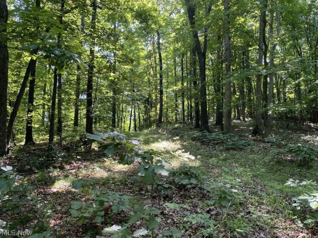 Staats Road Howard, OH 43028 - Photo 11 of 11