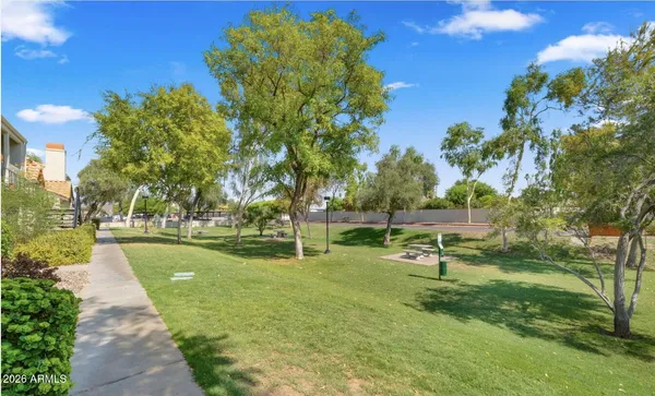 a view of a park with large trees