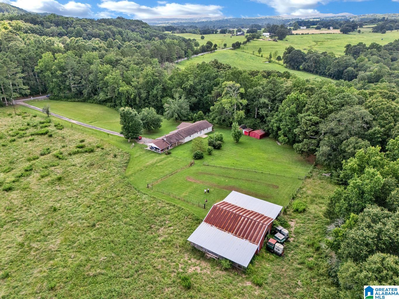 2627 Bend Road Blountsville, AL 35031 - Photo 35 of 53