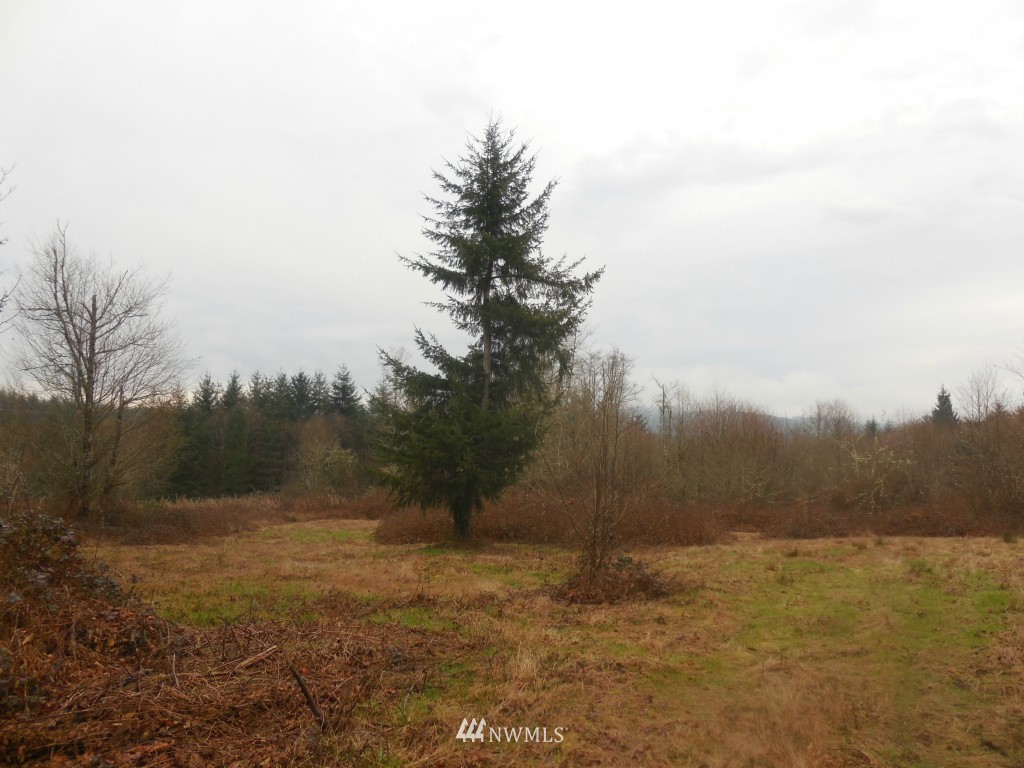 D Ragland Road Longview, WA 98632 - Photo 1 of 5