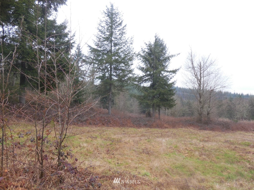 D Ragland Road Longview, WA 98632 - Photo 3 of 5
