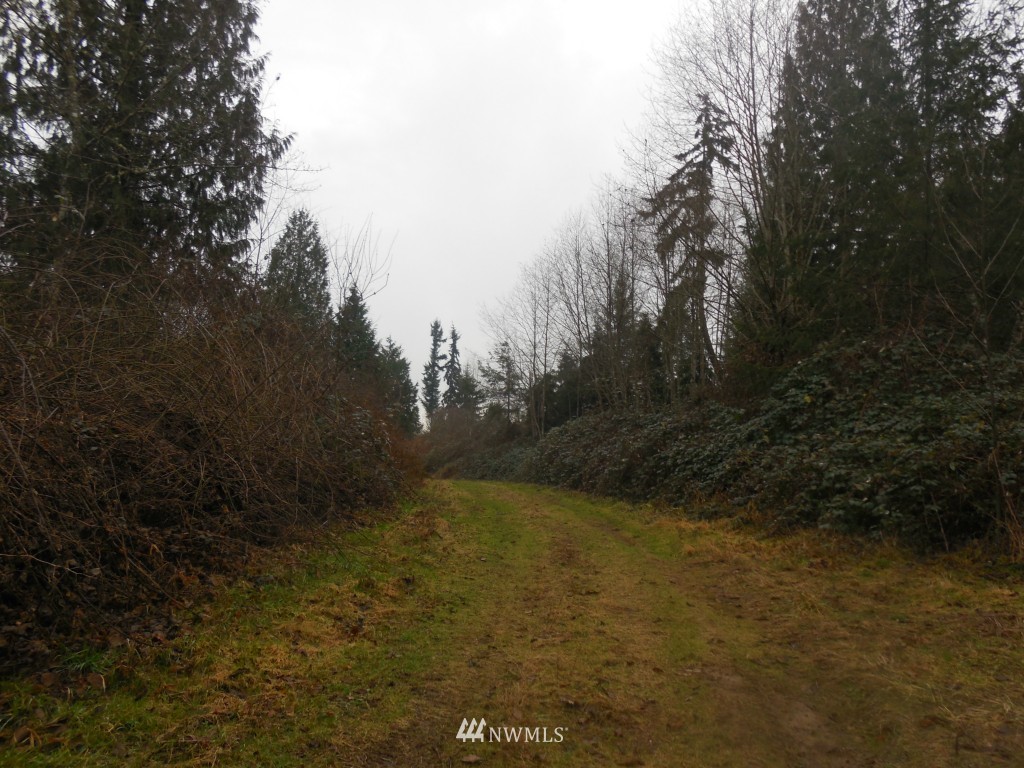 D Ragland Road Longview, WA 98632 - Photo 4 of 5