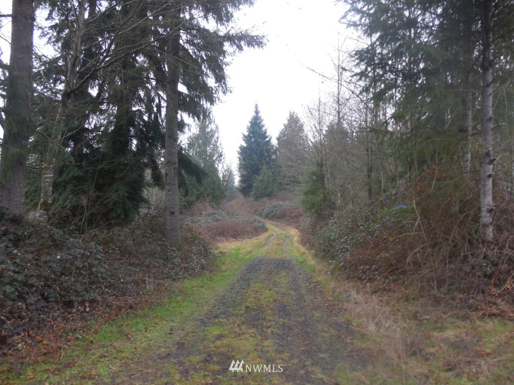 D Ragland Road Longview, WA 98632 - Photo 5 of 5