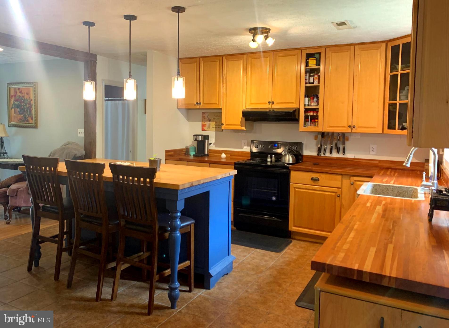 106 Royal Walnut Road Front Royal, VA 22630 - Photo 22 of 46 Enormous kitchen with tons of cabinetry
