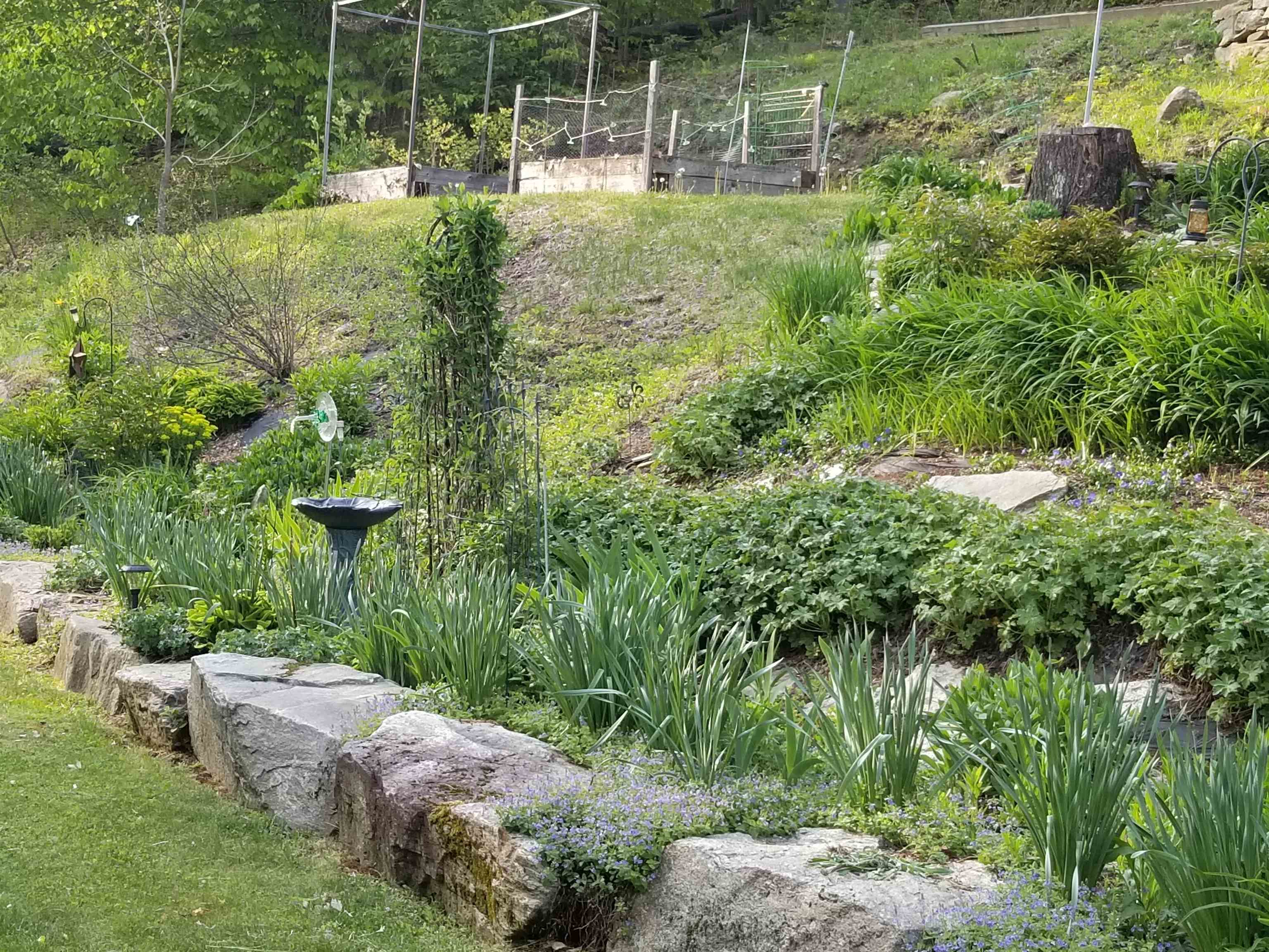 1452 Tyson Road Reading, VT 05062 - Photo 13 of 46 Gallery Image 13