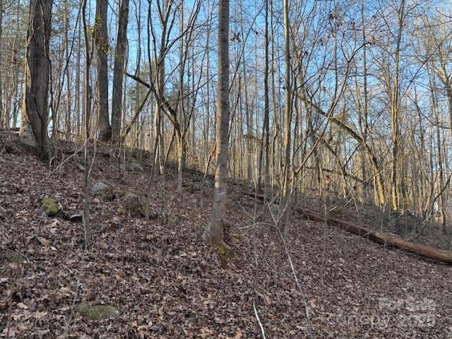 0 Jerry Crump Road Dallas, NC 28034 - Photo 3 of 4 Gallery Image 3