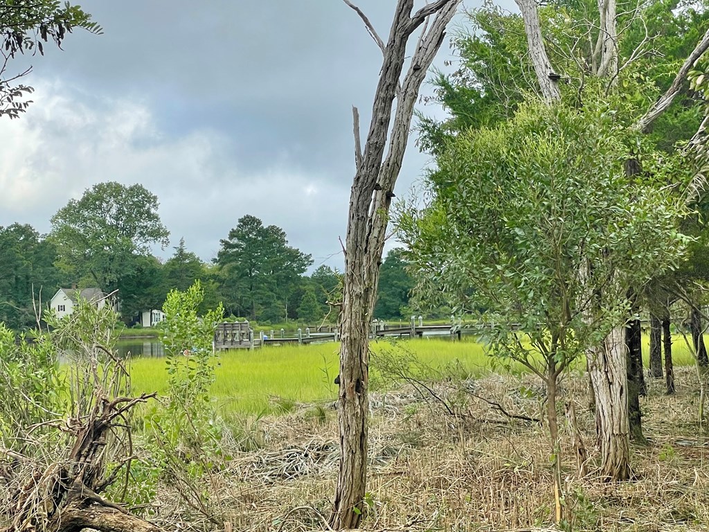 Lot 3 Green Landing Road, Unit 3 Onancock, VA 23417 - Photo 23 of 43