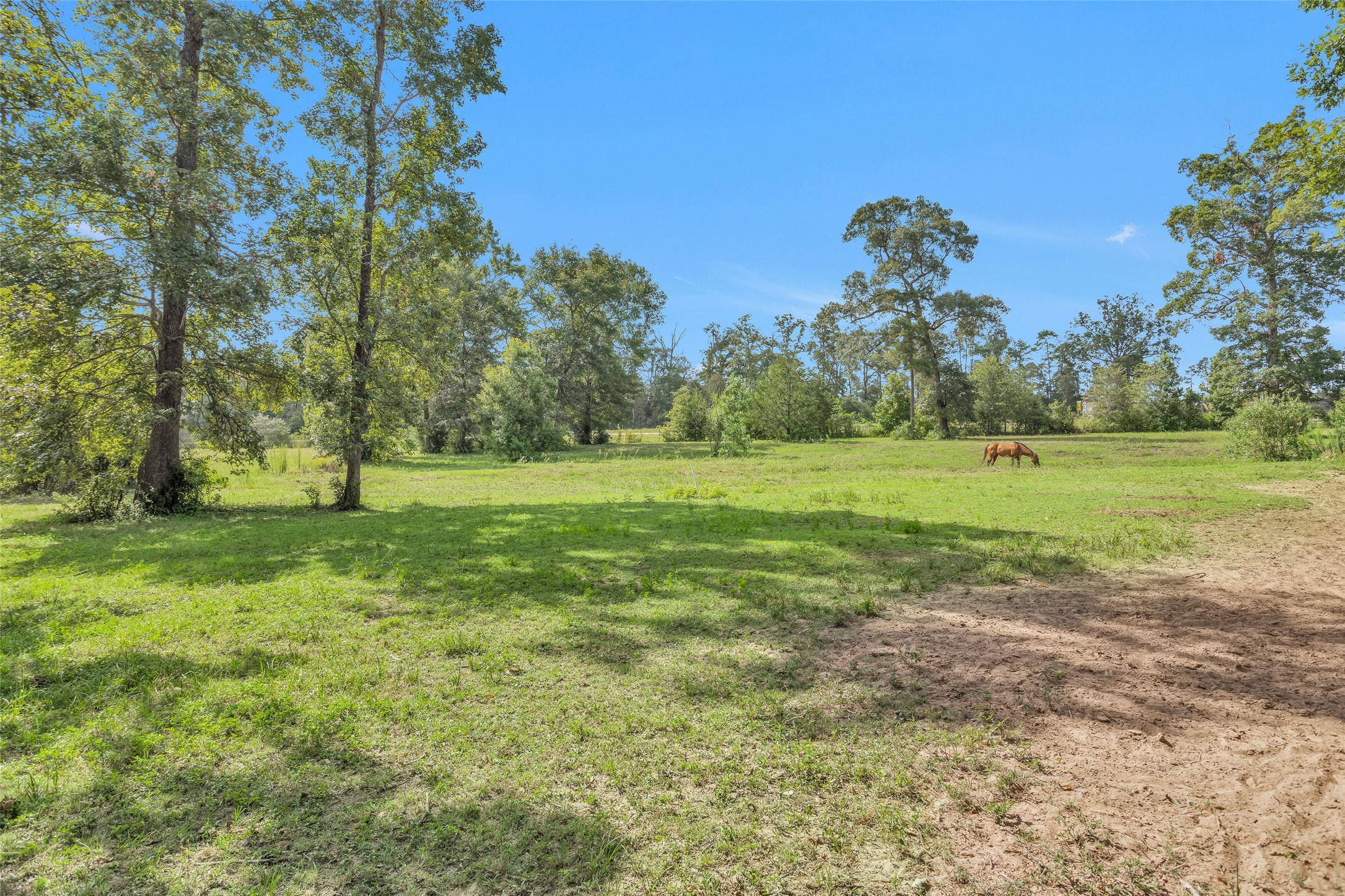10810 Farrell Road Willis, TX 77378 - Photo 32 of 36 a view of a field with of trees