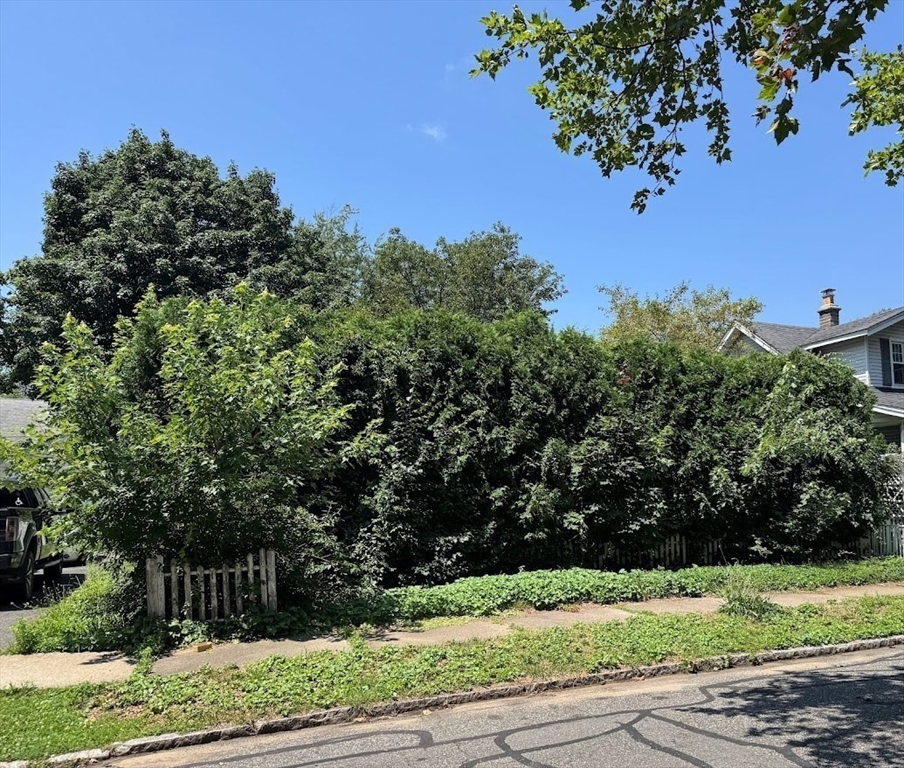0 Chilson Street Springfield, MA 01118 - Photo 2 of 7 a view of a yard