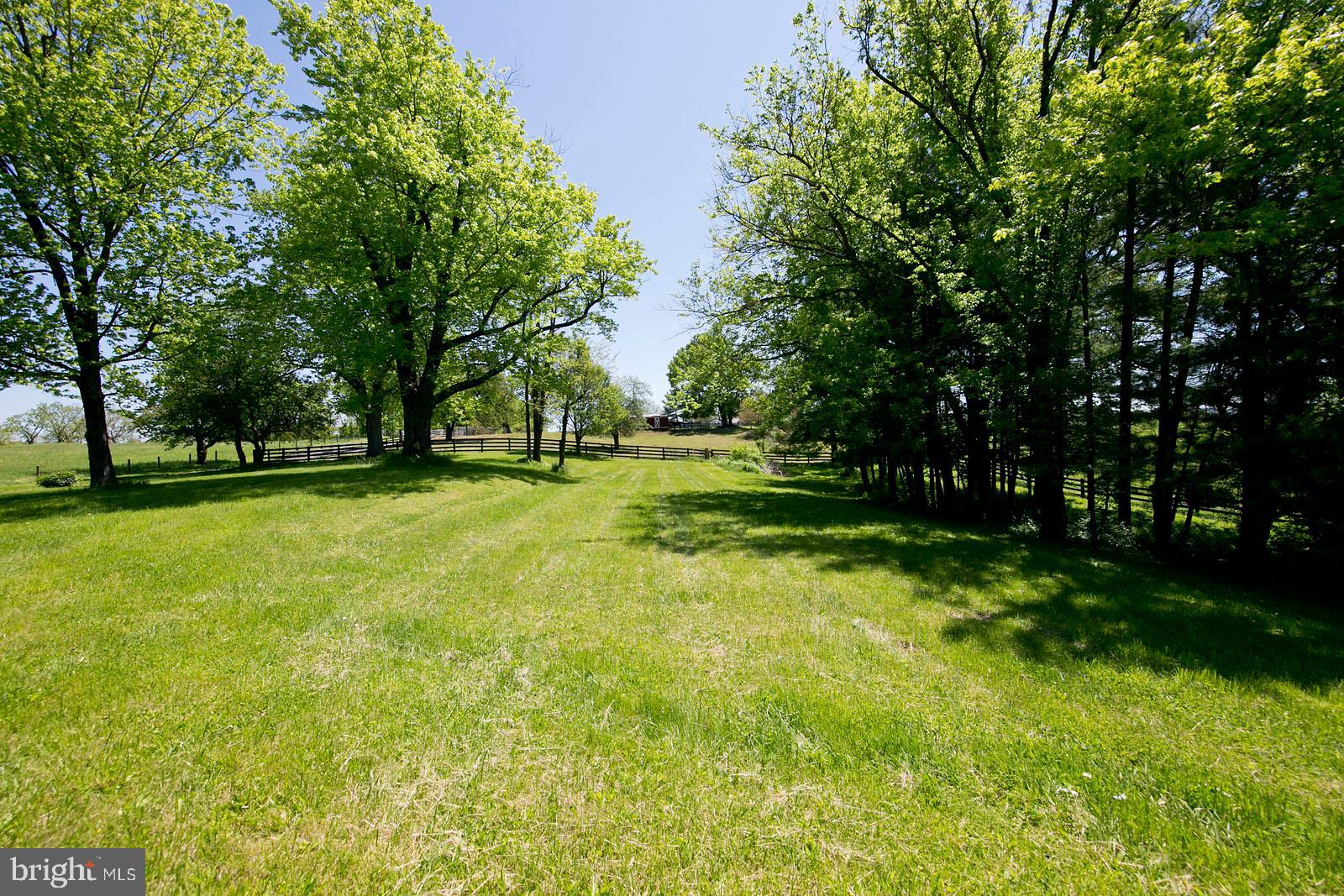 2000 Springsbury Road Berryville, VA 22611 - Photo 4 of 78 Gallery Image 4