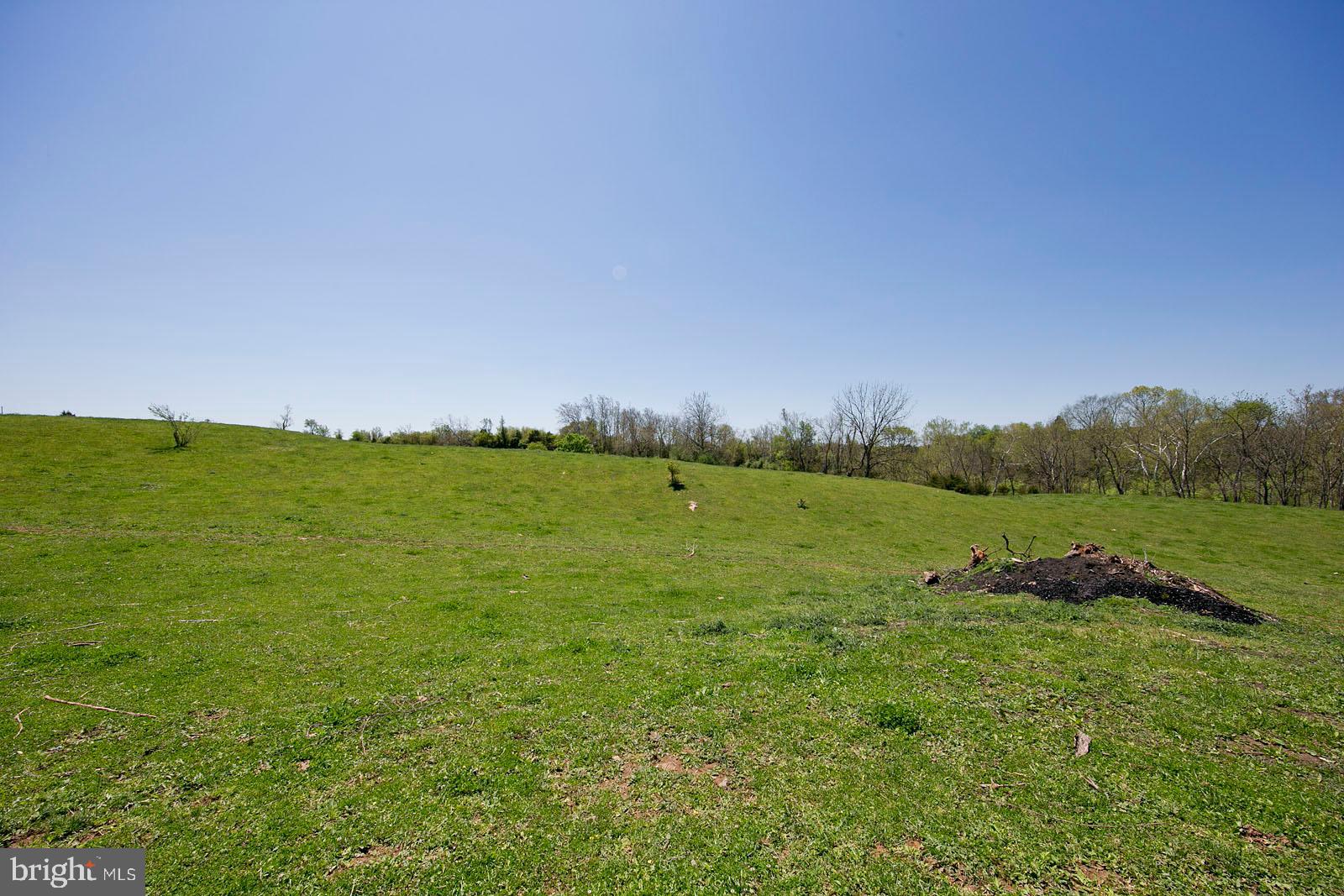 2000 Springsbury Road Berryville, VA 22611 - Photo 44 of 78 Gallery Image 44