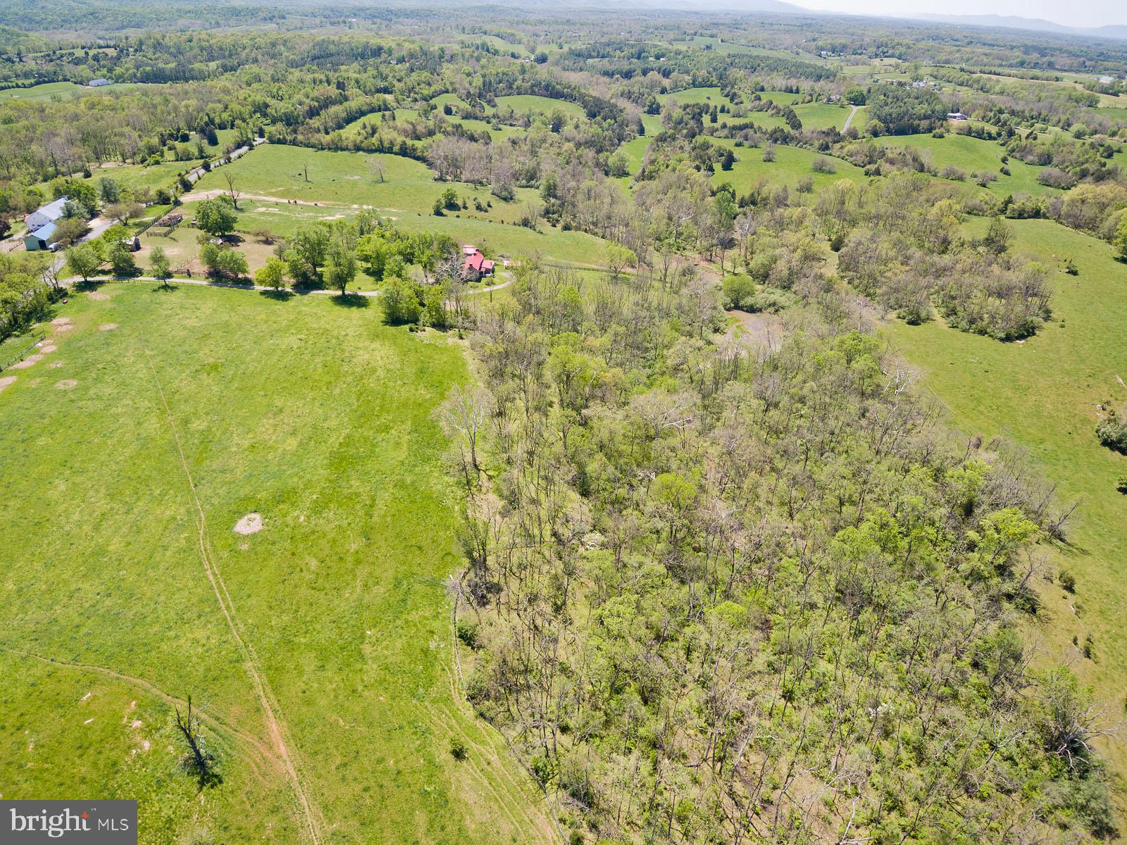 2000 Springsbury Road Berryville, VA 22611 - Photo 56 of 78 Gallery Image 56
