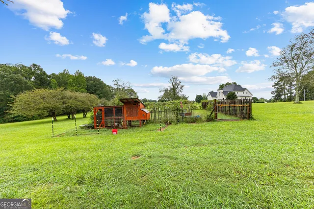 a view of a big yard with swimming pool and garden