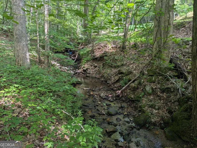 a view of a forest with trees