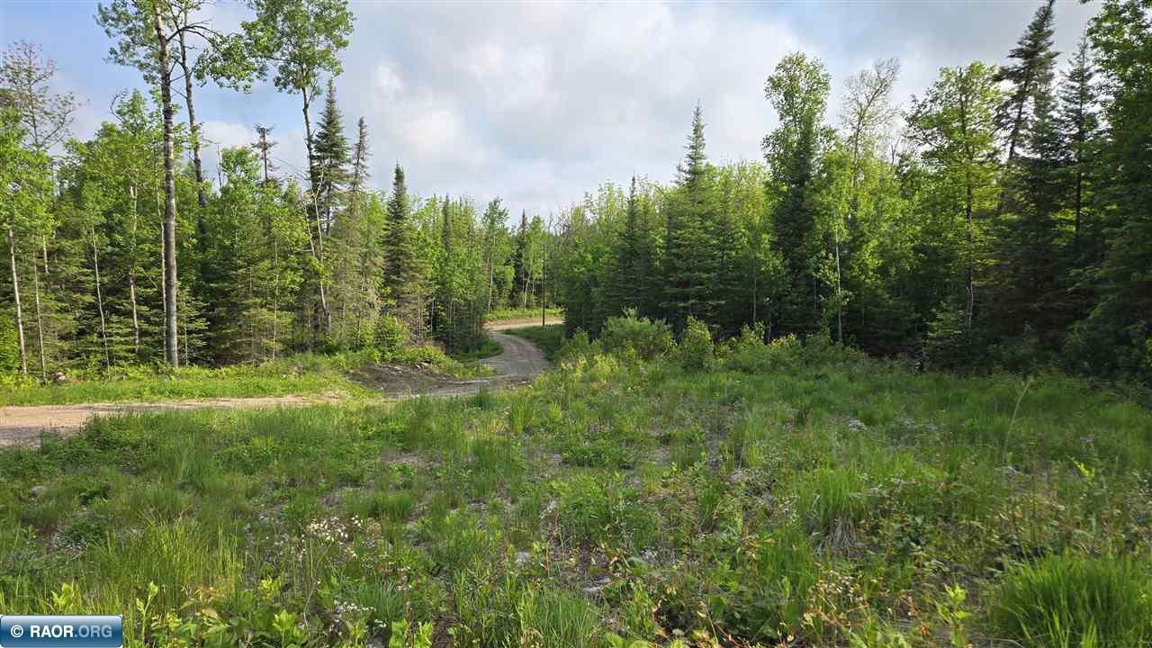 6466 Co Road Buyck, MN 55771 - Photo 15 of 24 Gallery Image 15