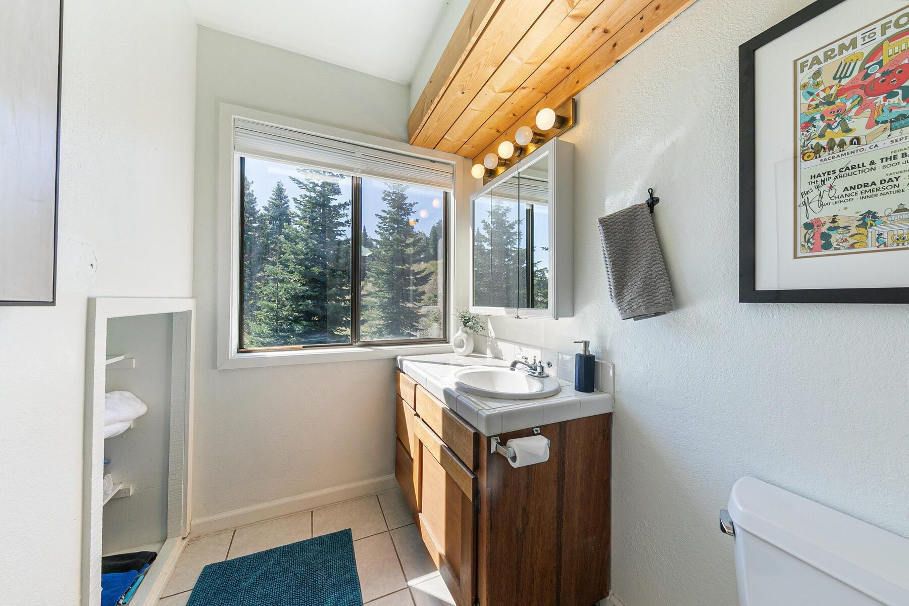 11566 Rhineland Avenue Truckee, CA 96161 - Photo 7 of 27