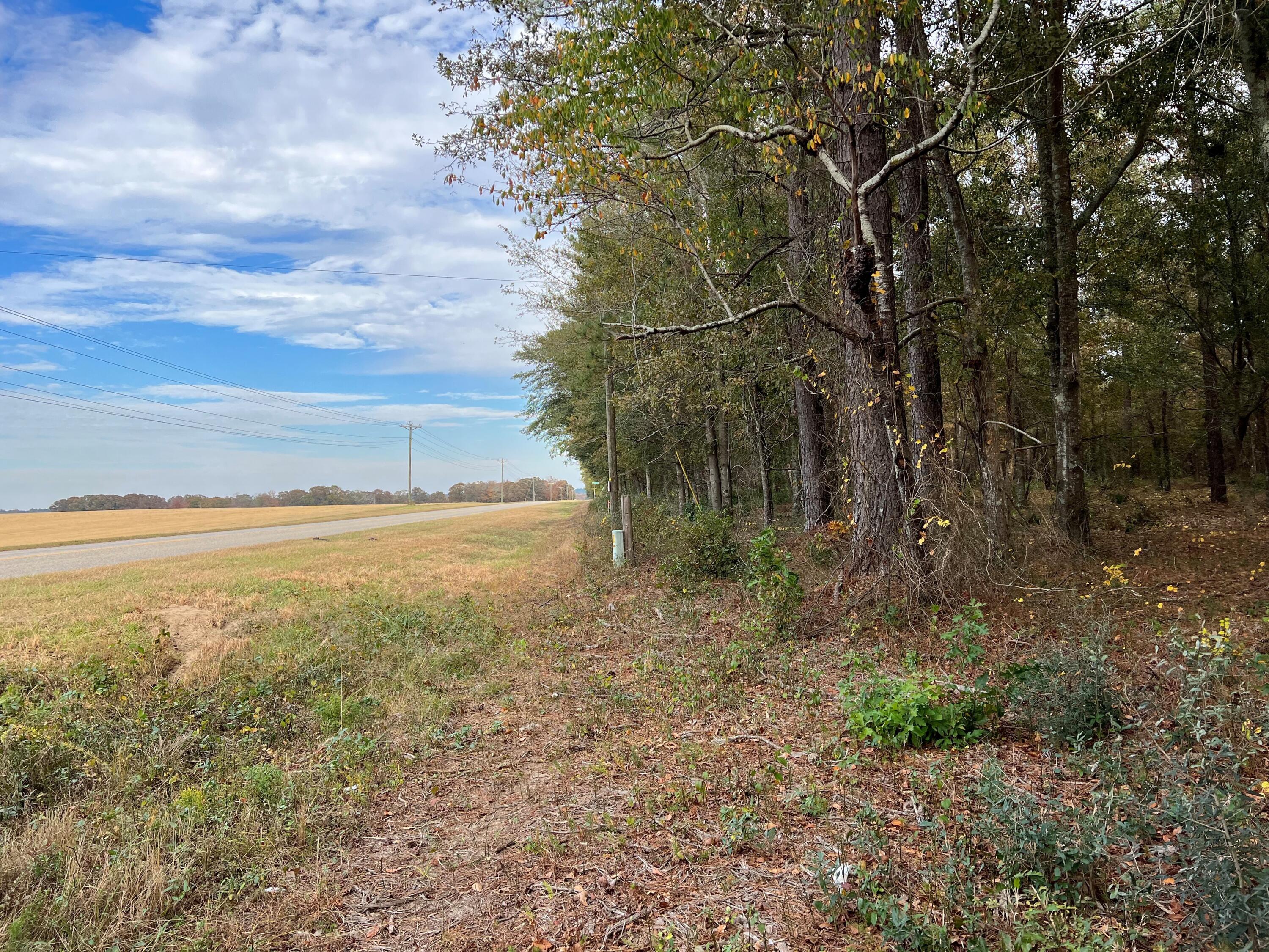 W2 Wagener Road, Unit 2 Wagener, SC 29164 - Photo 5 of 11