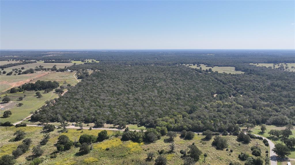 0 Easley Road Smithville, TX 78957 - Photo 7 of 9
