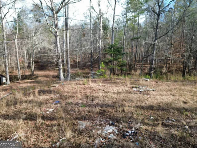 a view of a forest filled with trees