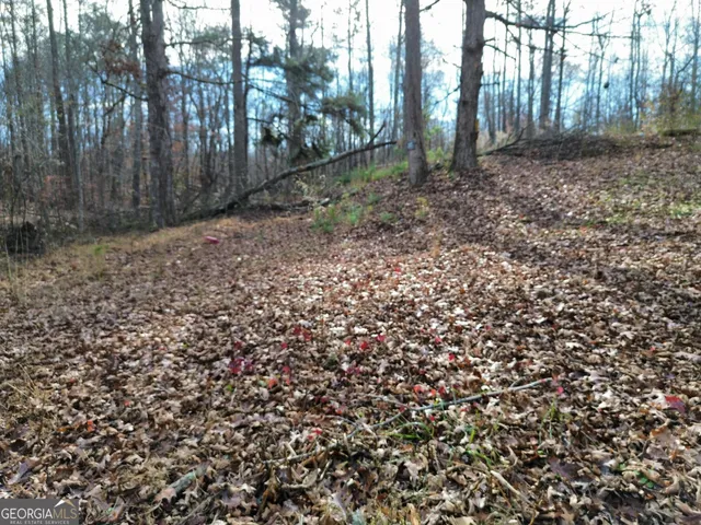 a view of backyard with trees