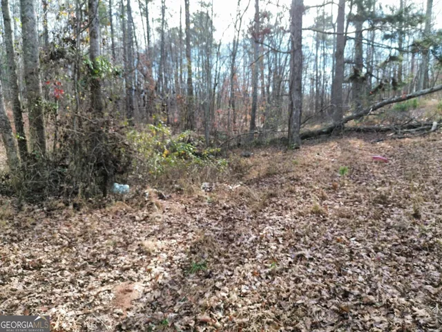 a view of backyard with tree