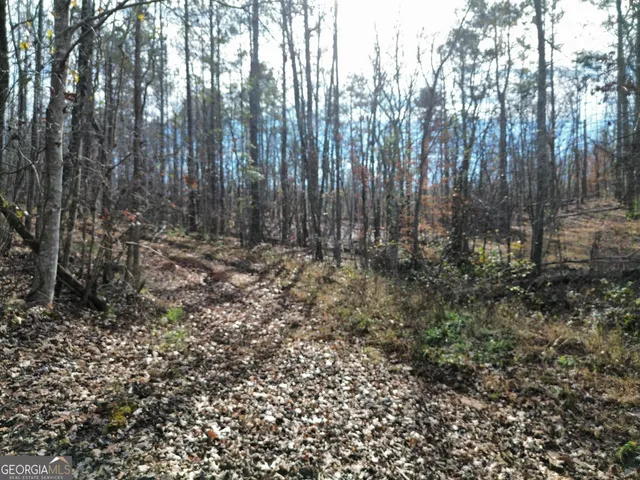 a view of outdoor space and covered with trees
