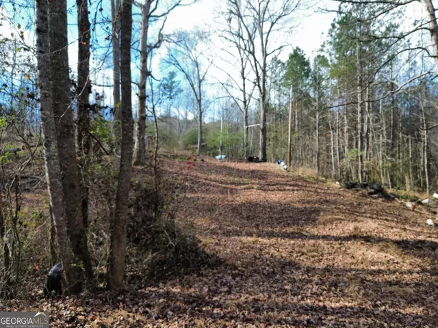 a view of outdoor space with trees