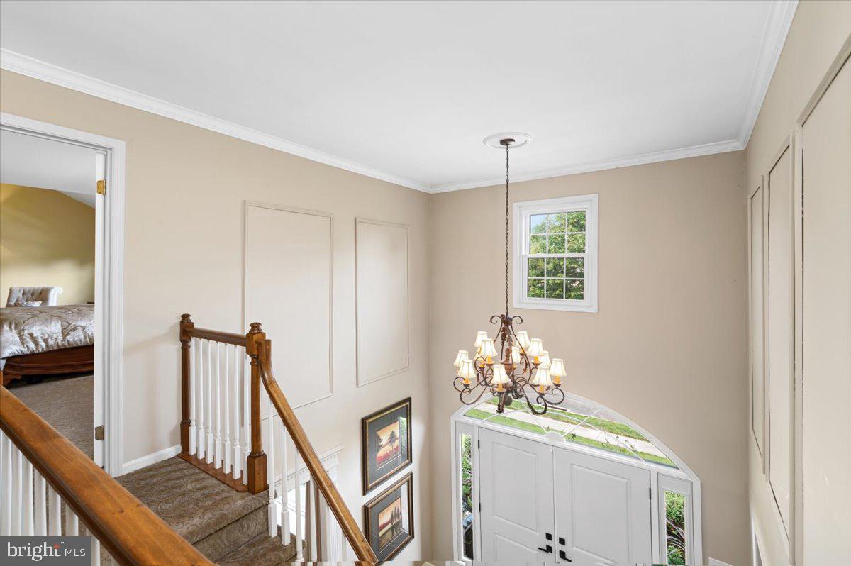 217 Windsor Way Doylestown, PA 18901 - Photo 20 of 36 Two story foyer
