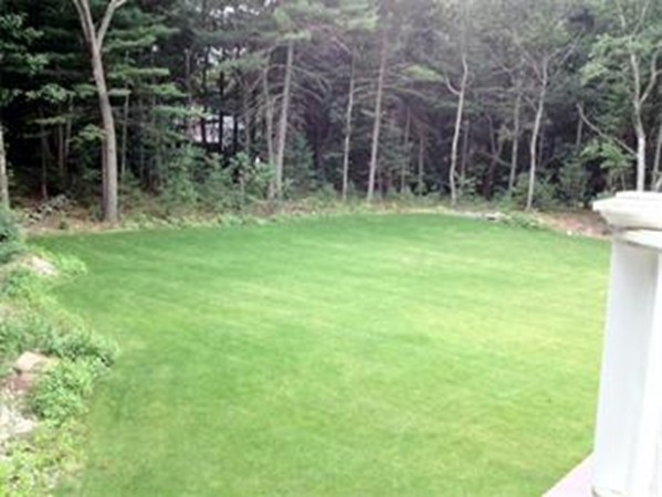 48 Scott Road Needham, MA 02492 - Photo 23 of 25