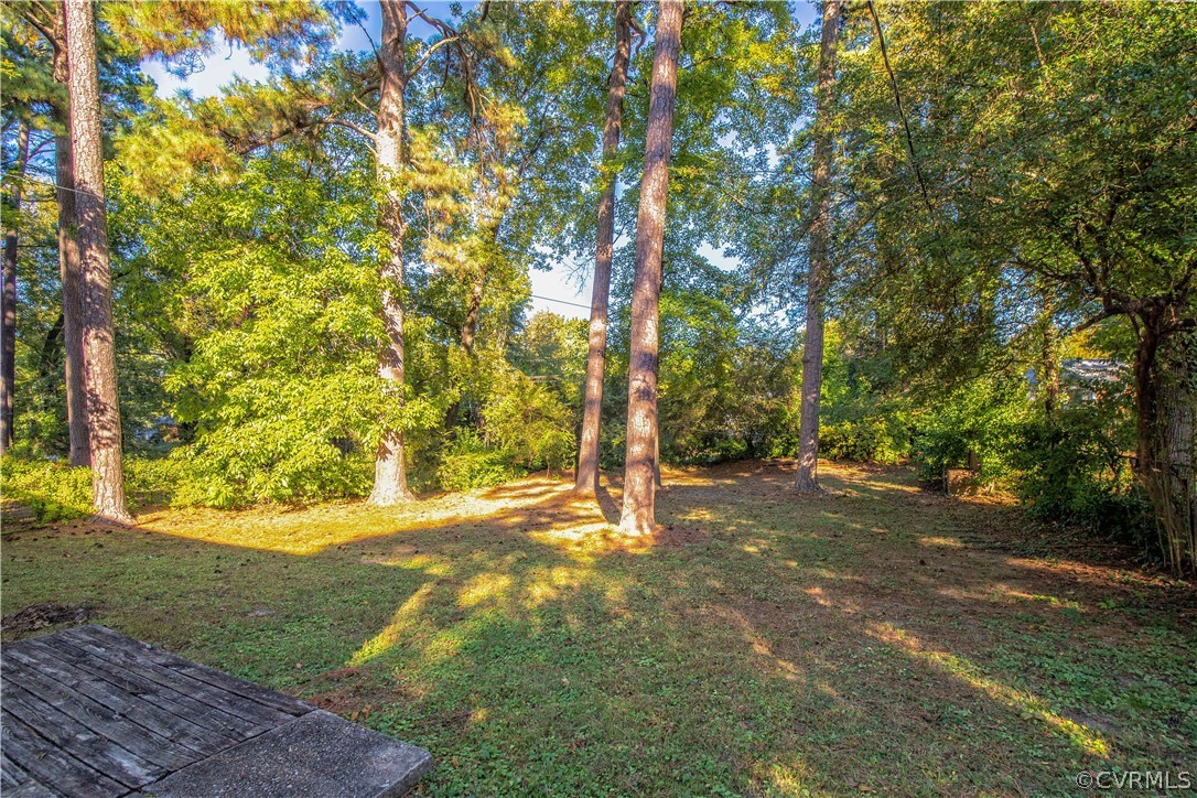 1607 Skipwith Road Henrico, VA 23229 - Photo 3 of 11 Gallery Image 3