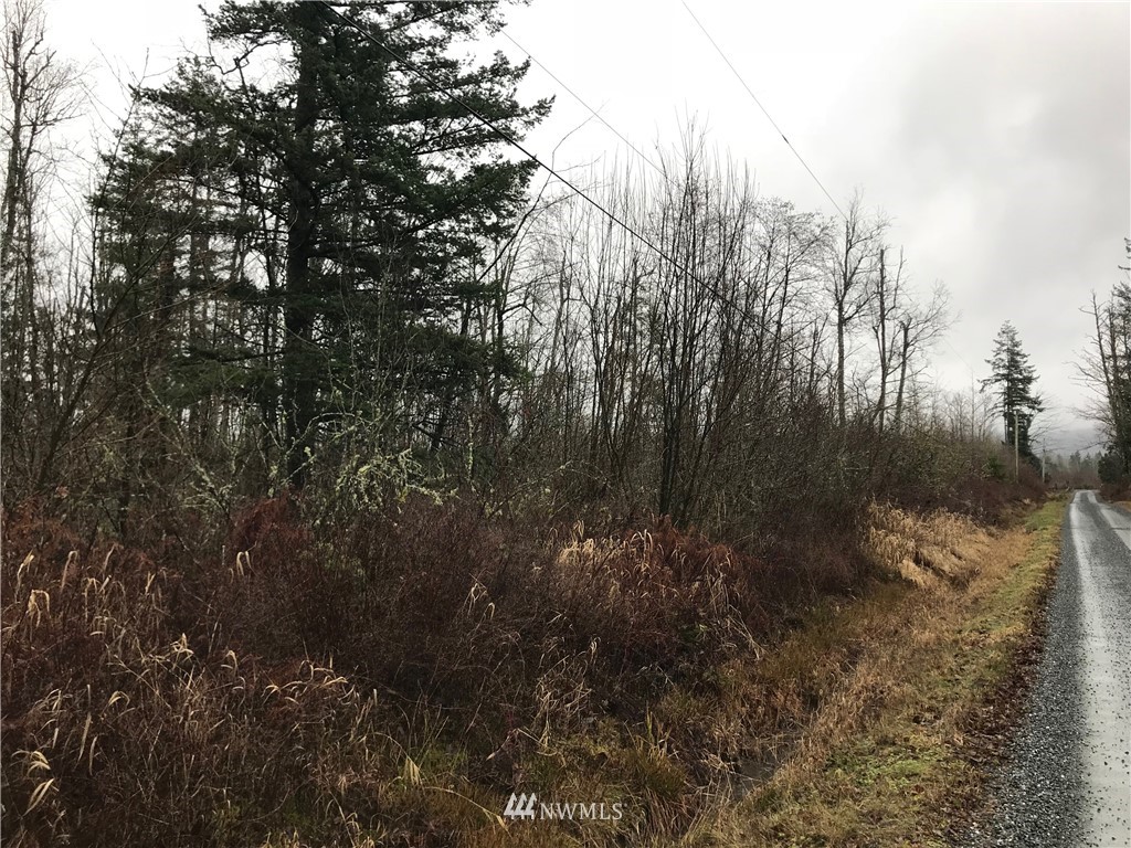 0 Everson Goshen Road Bellingham, WA 98226 - Photo 1 of 5