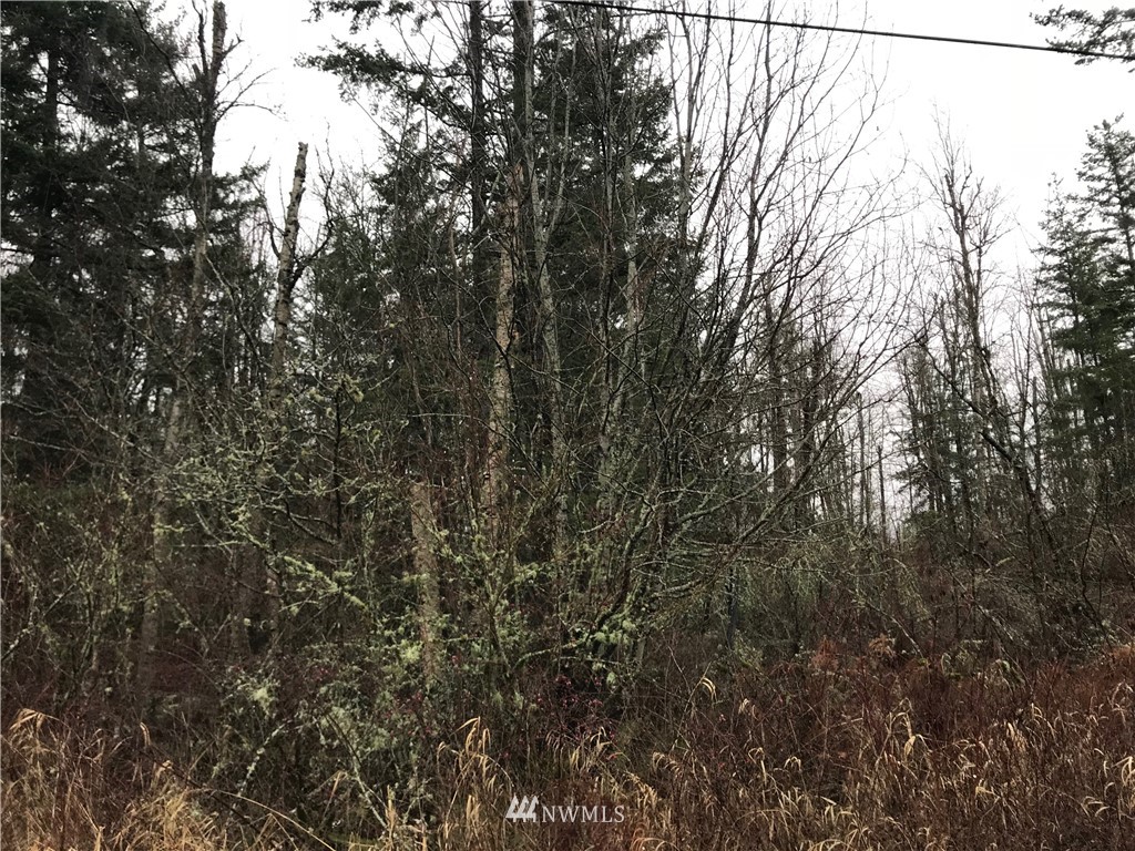 0 Everson Goshen Road Bellingham, WA 98226 - Photo 3 of 5