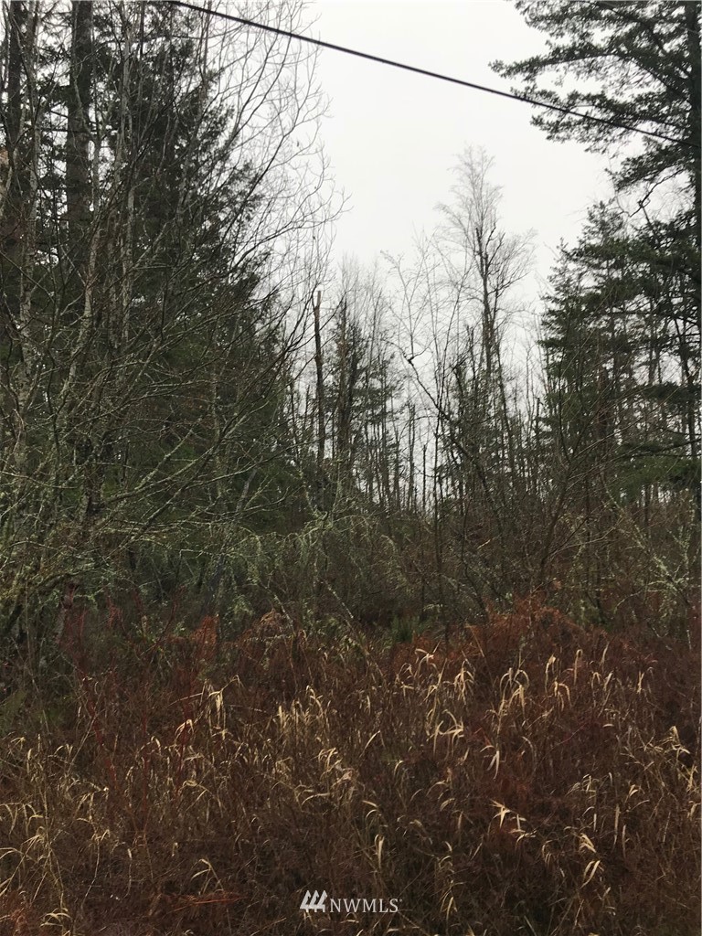 0 Everson Goshen Road Bellingham, WA 98226 - Photo 4 of 5