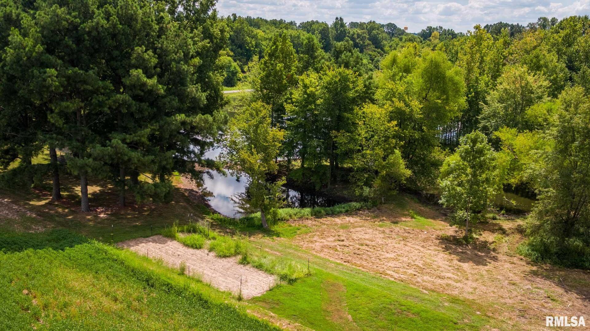 541 Dallas Road Murphysboro, IL 62966 - Photo 14 of 78 a view of yard