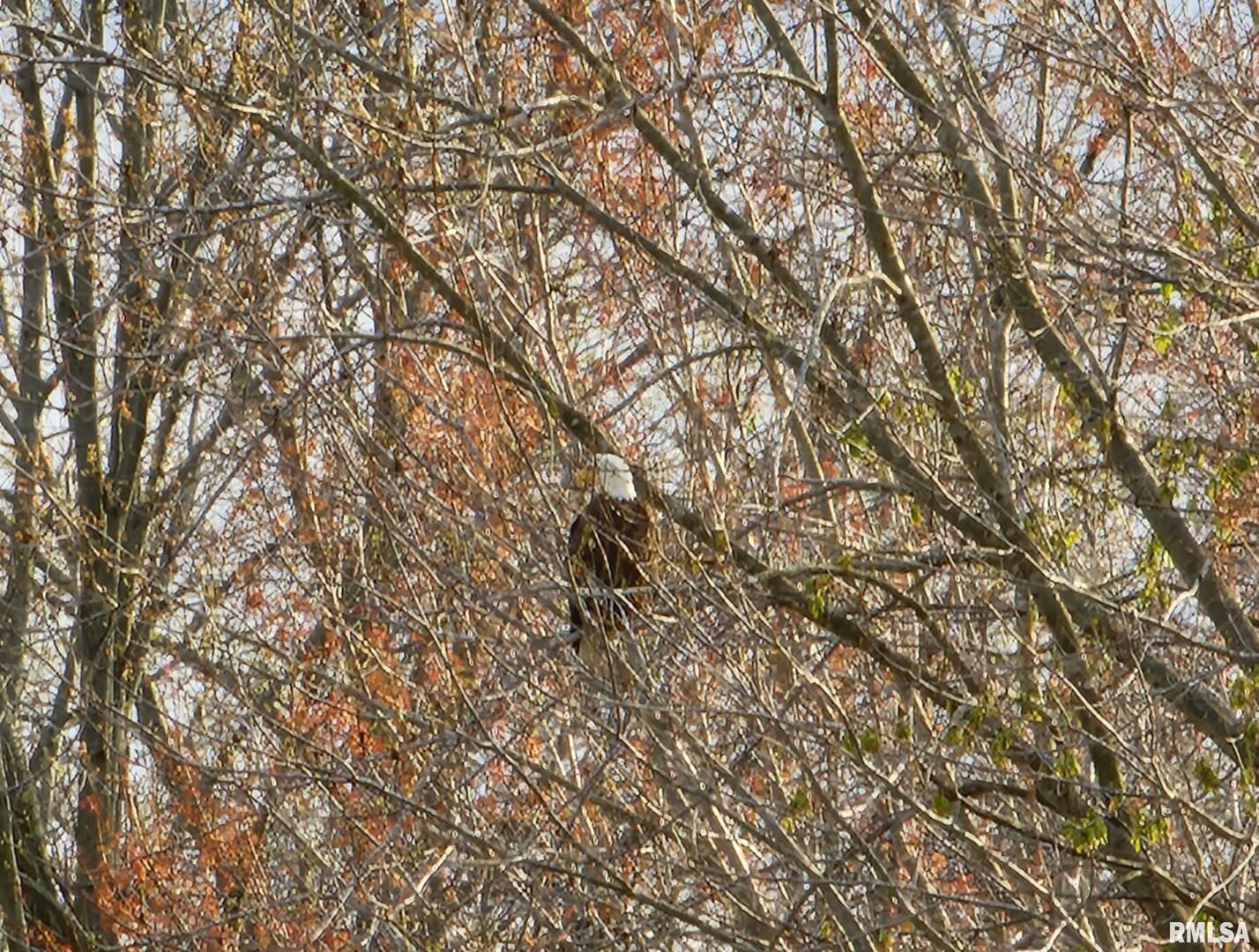 541 Dallas Road Murphysboro, IL 62966 - Photo 73 of 78