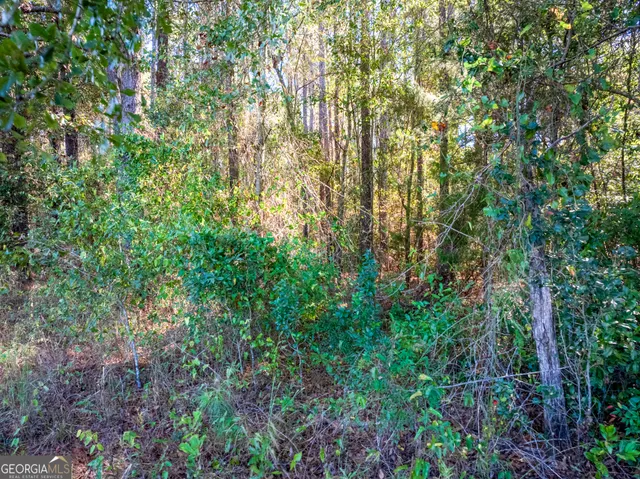 $22,900 | 6102 Newton Road, Albany, GA 31721