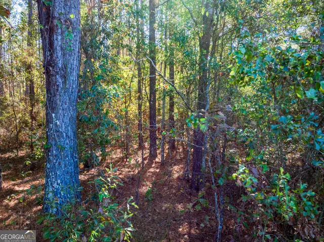 $22,900 | 6102 Newton Road, Albany, GA 31721