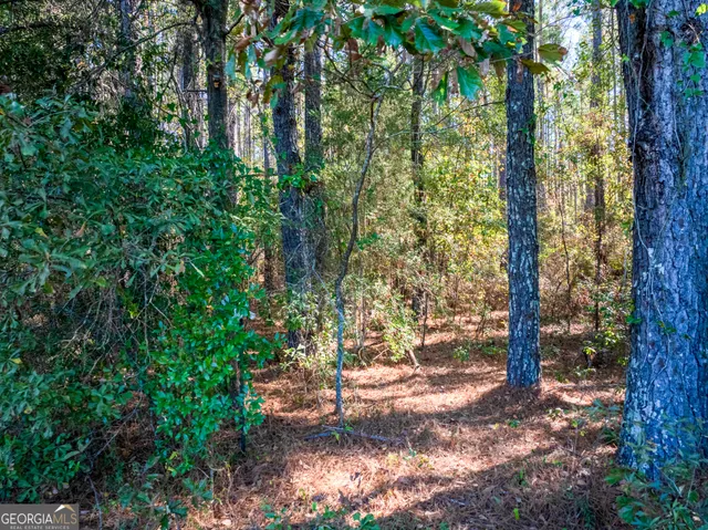 $22,900 | 6102 Newton Road, Albany, GA 31721