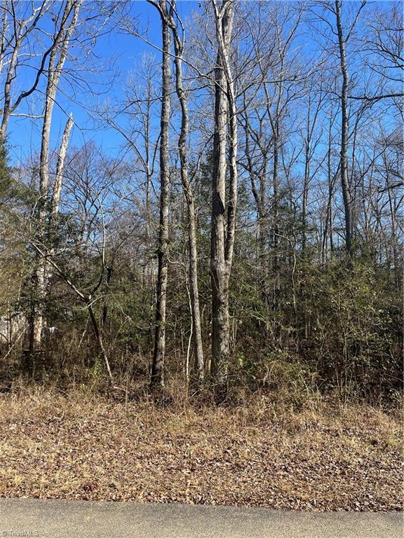 0 Playground Lane Salisbury, NC 28146 - Photo 2 of 12