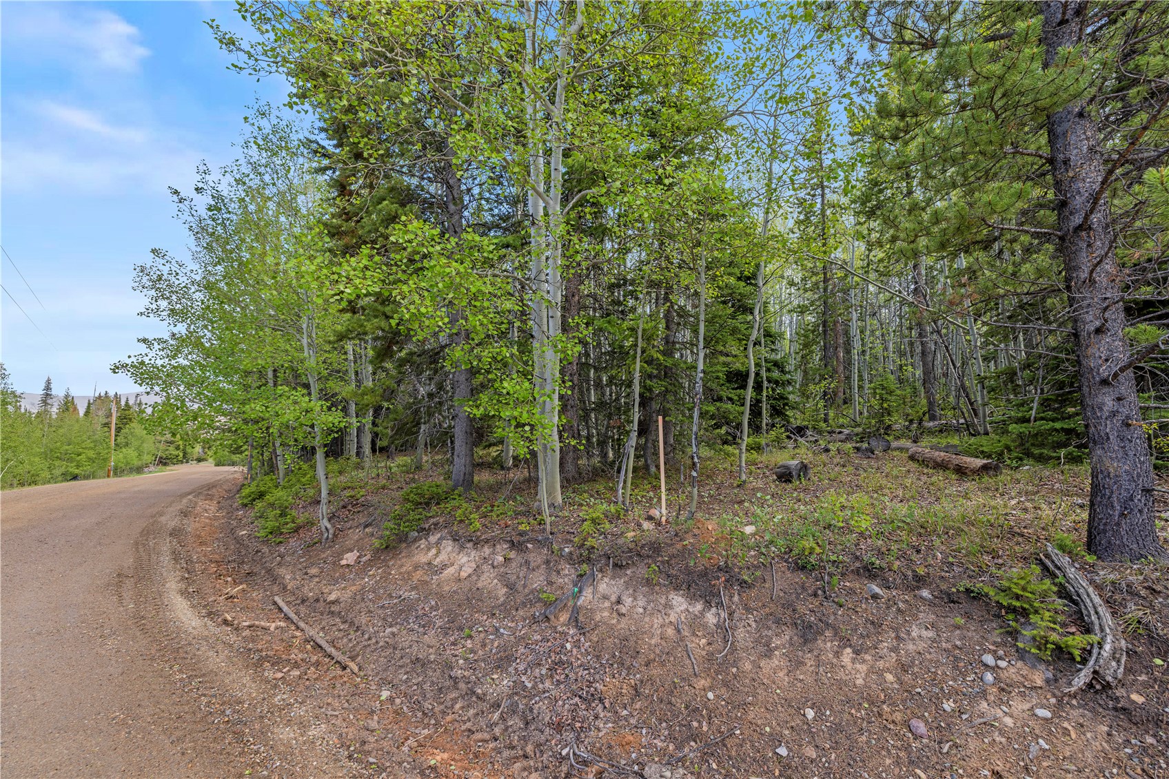 336 Blue Spruce Road Silverthorne, CO 80498 - Photo 18 of 28