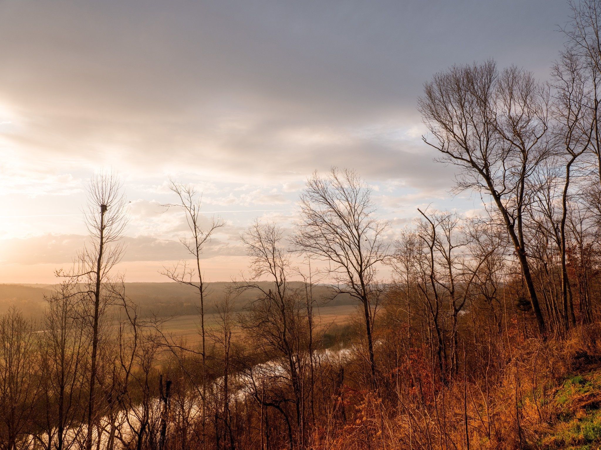 7050 Bakerville Road Waverly, TN 37185 - Photo 35 of 50 a view of a yard