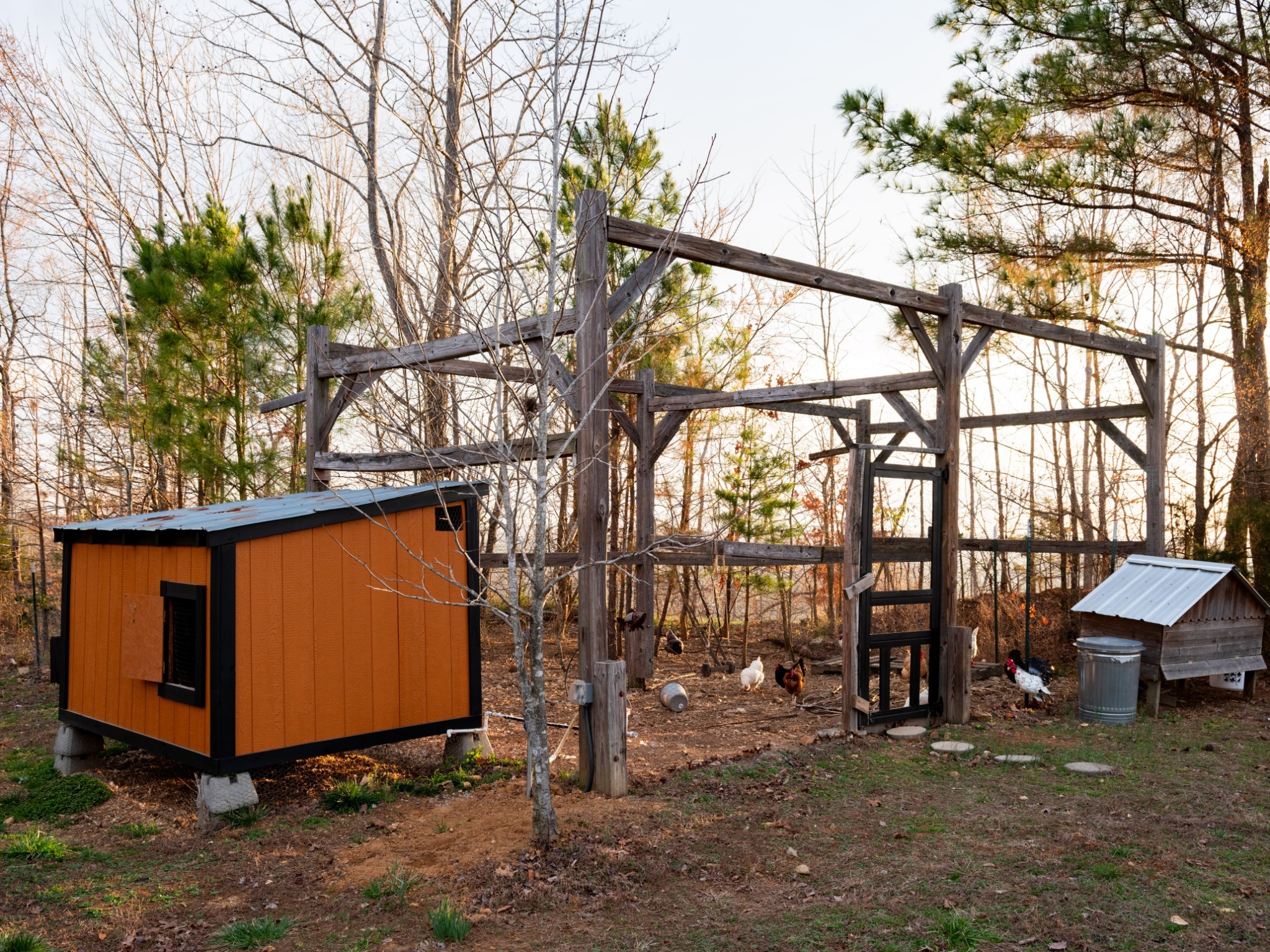 7050 Bakerville Road Waverly, TN 37185 - Photo 40 of 50 a view of outdoor space yard and patio