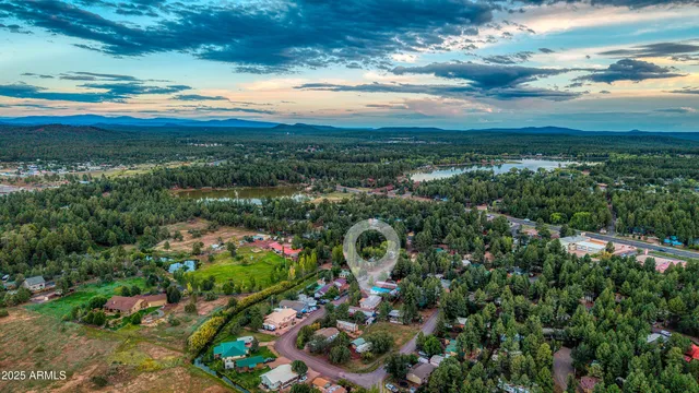 a view of a city with lush green forest