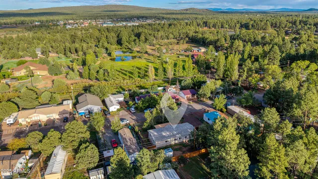 a view of a yard with plants